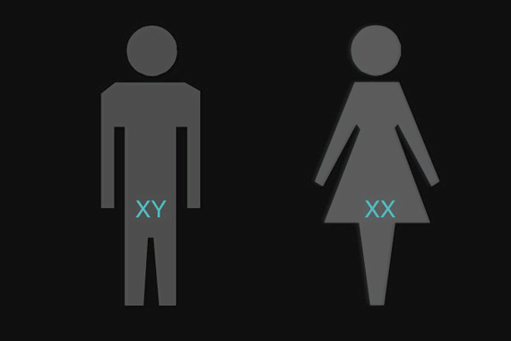 gender, gender confusion, God created male and female, sex chromosomes determines gender